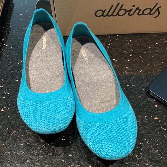 Allbirds Tree Breezers flats. Clean and ready to wear. - Picture 2 of 6